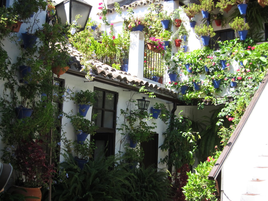 Cool patios are the pride of the locals