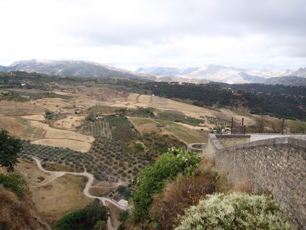 Looking down into the gorge at Ronda