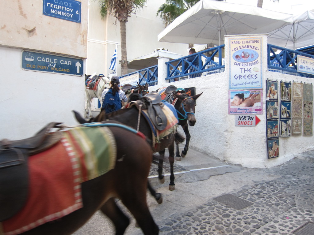 Burros get right of way in Fira