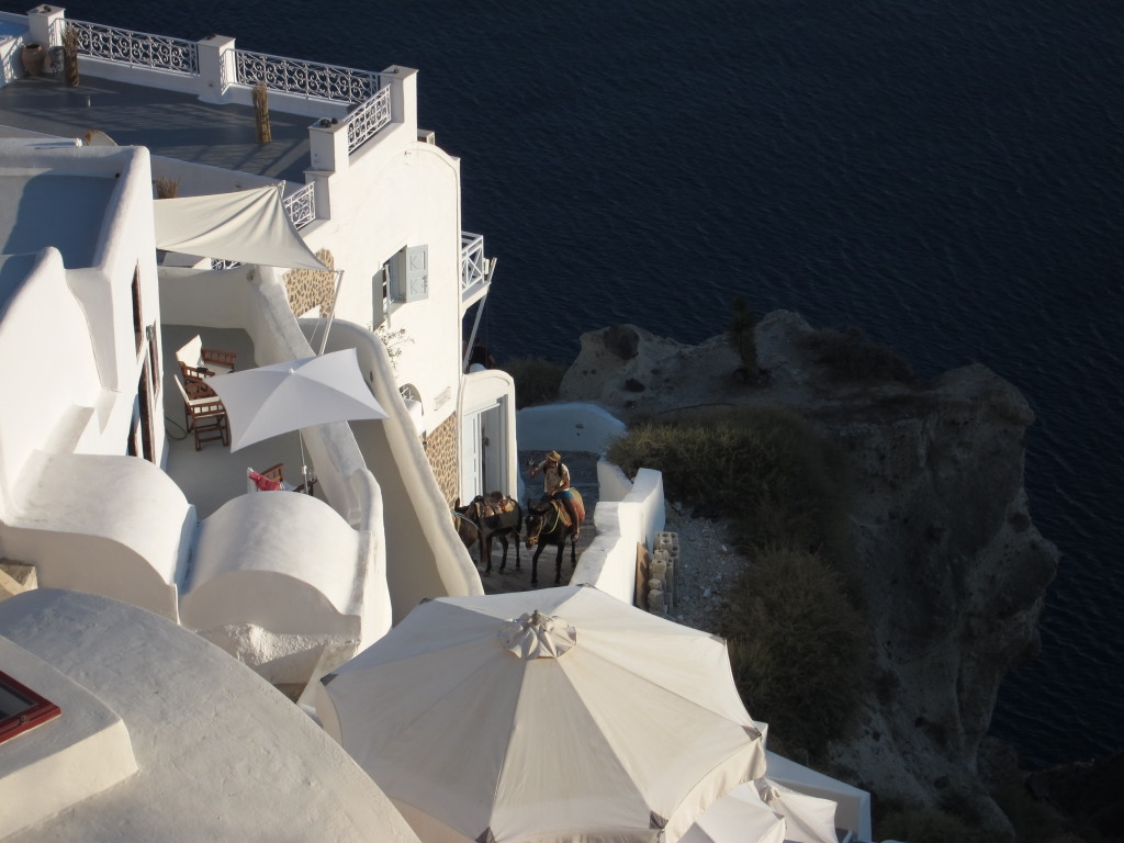 Burros making the climb up the steps of Oia