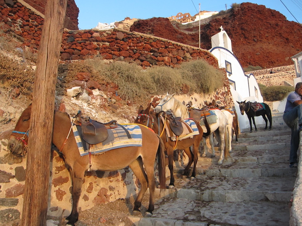 Dodging burro dung up and down the stairs was a challenge